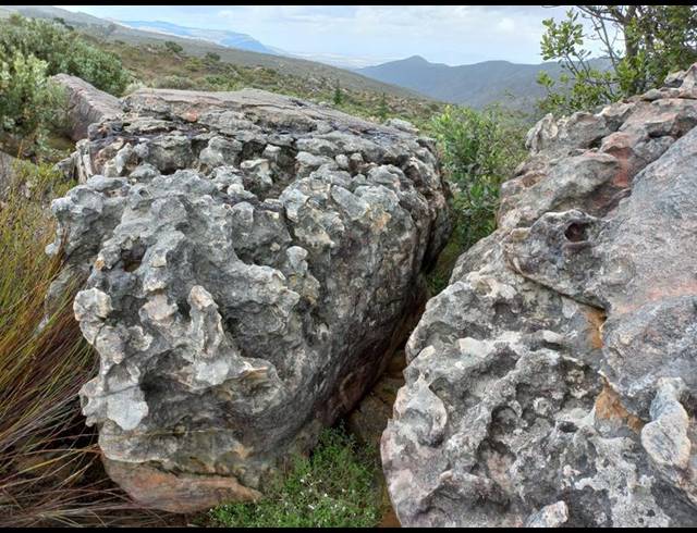 FARM FOR SALE IN PIKETBERG RURAL